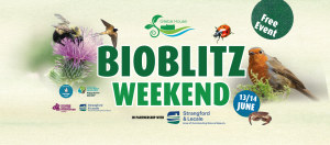 Glebe BioBlitz Weekend artwork 13–14 JUNE 2026