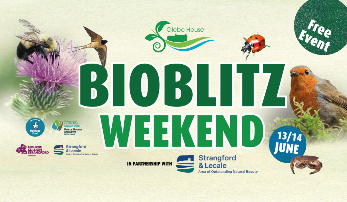 Glebe BioBlitz Weekend artwork 13–14 JUNE 2026